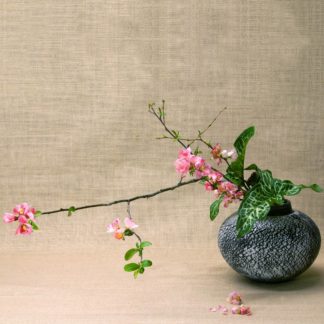 Bunjin