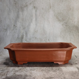 Vaso per Bonsai rettangolare