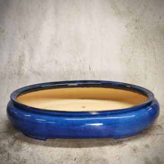 Vaso BLU per Bonsai ovale