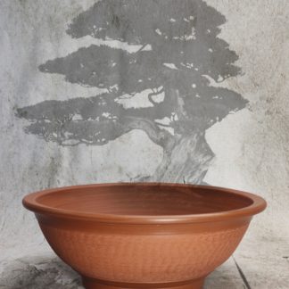 Vaso per Bonsai rotondo non smaltato Ø31