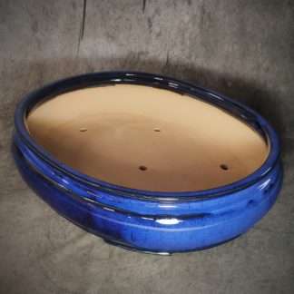 Vaso BLU per Bonsai ovale 42cm